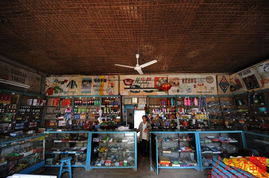 小山村里70年代的供銷社 那個沒有寵物食品的年代