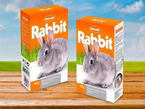 從功能到情感 現代寵物食品包裝設計的美學與巧思