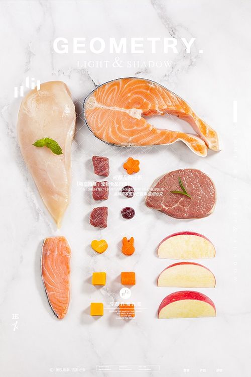 電商視覺突圍 成都寵物食品攝影的藝術(shù)與實(shí)戰(zhàn)